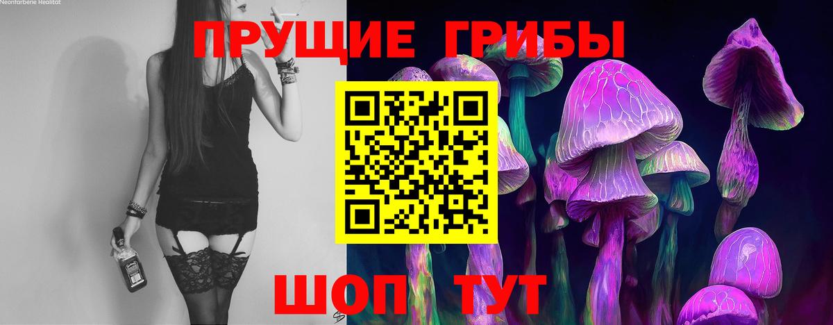 Псилоцибиновые грибы Cubensis  Вход с VPN  Дербент  Псилоцибиновые грибы Psilocybe 